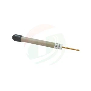 Điện cực bạc